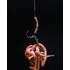 Kép 2/2 - DAZZLERS Worm Brown Distance Hookbead