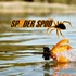 Kép 5/5 - Spyder Spod Night Glow